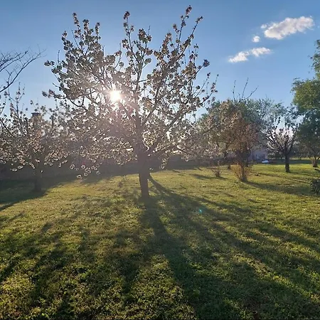 Appartement Apartman Solar *
